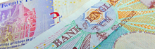 A journey into counter fraud